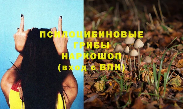 кристаллы Алзамай