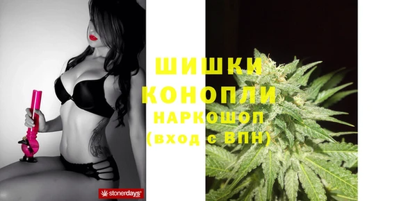 сатива Алексеевка