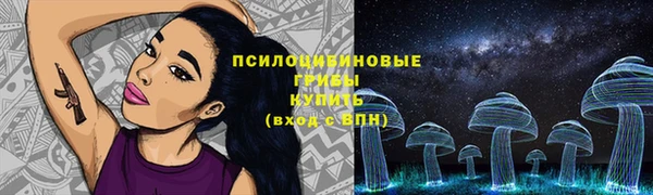 синтетический гашиш Алексин